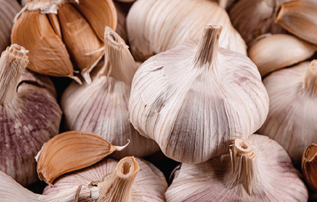 Worming chickens DE Parasites garlic