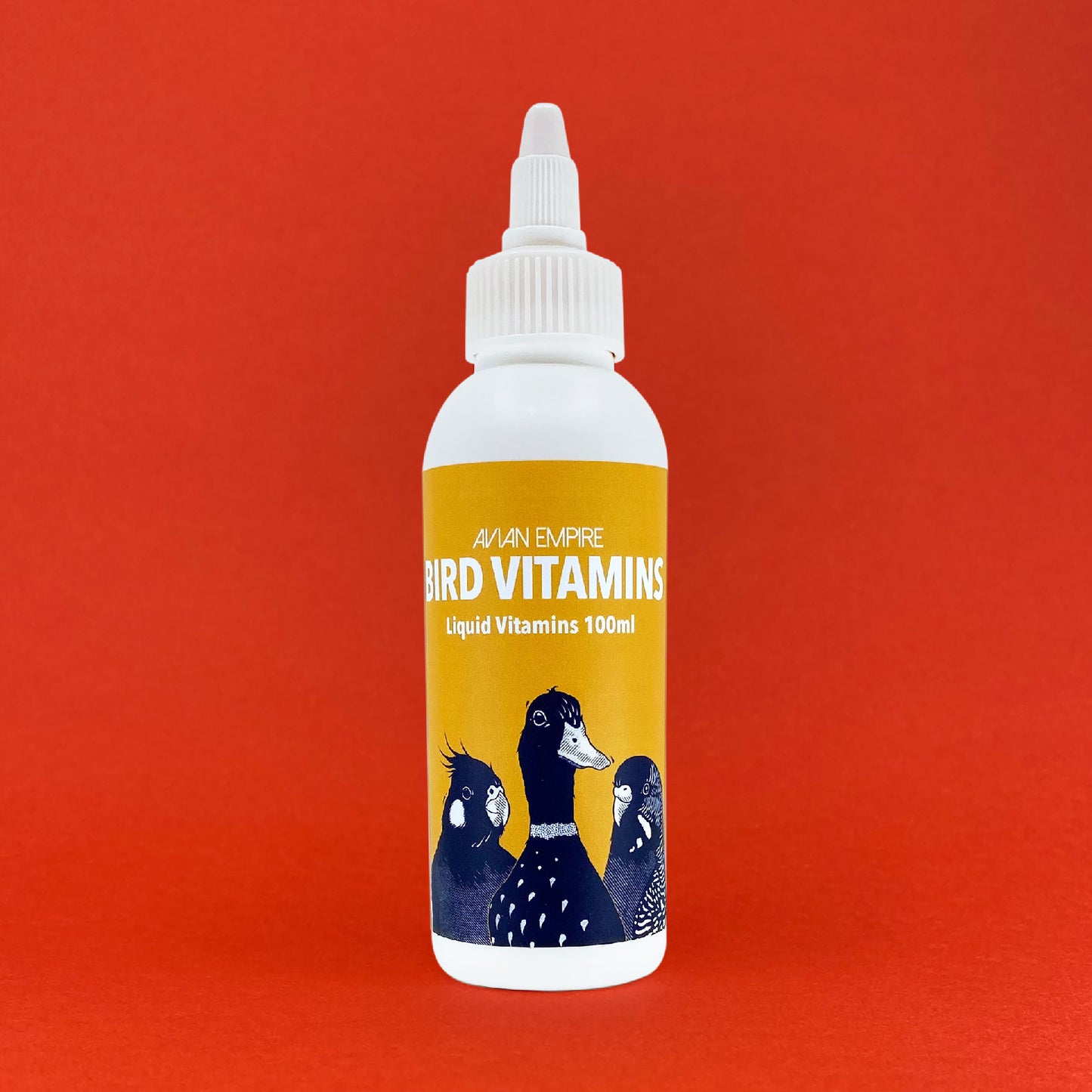 Primary Collection - 3 Pack