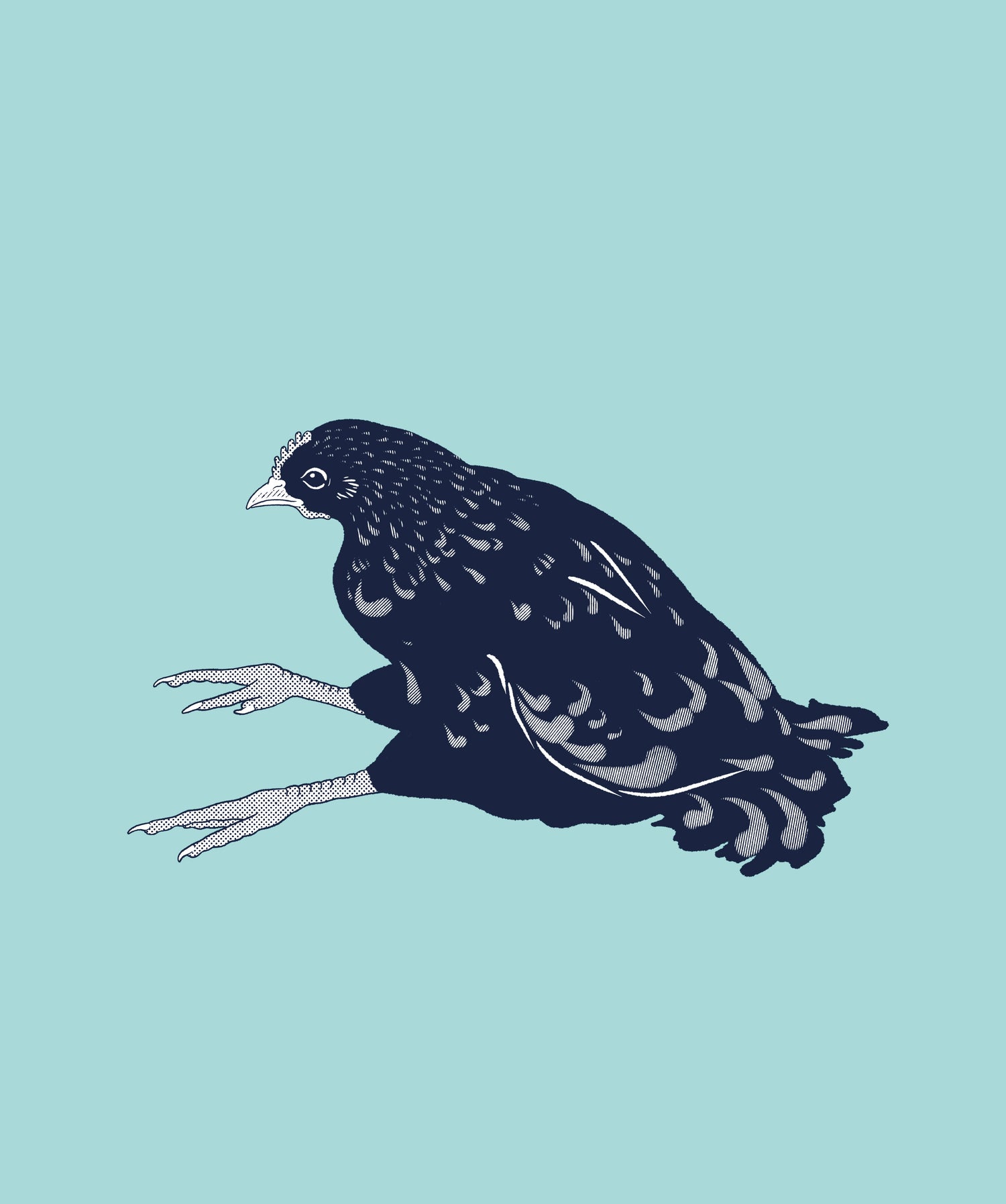Mareks disease poultry
