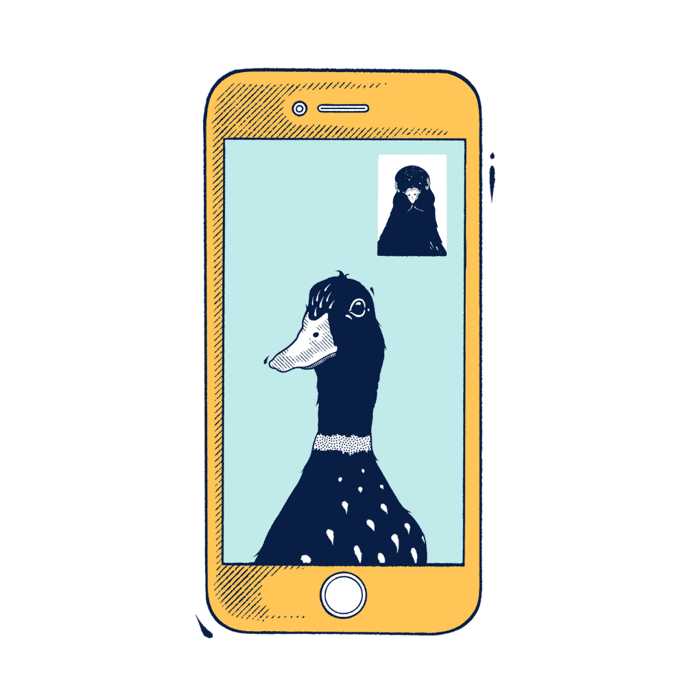 A stylized illustration of a yellow smartphone showing a video call with a duck. The phone has a hand-drawn sketch aesthetic, and the screen displays a duck in profile with a small inset view of another duck.