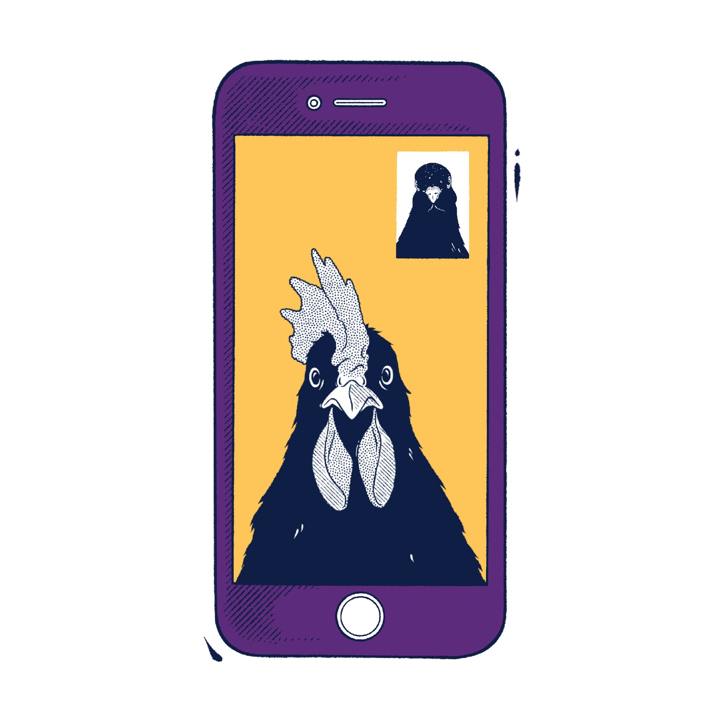Avian Empire online bird vet telemedicine consultation service in New Zealand