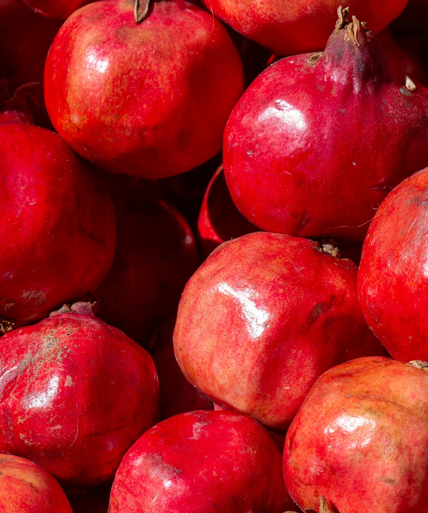 pomegranate skin a new cure for canker