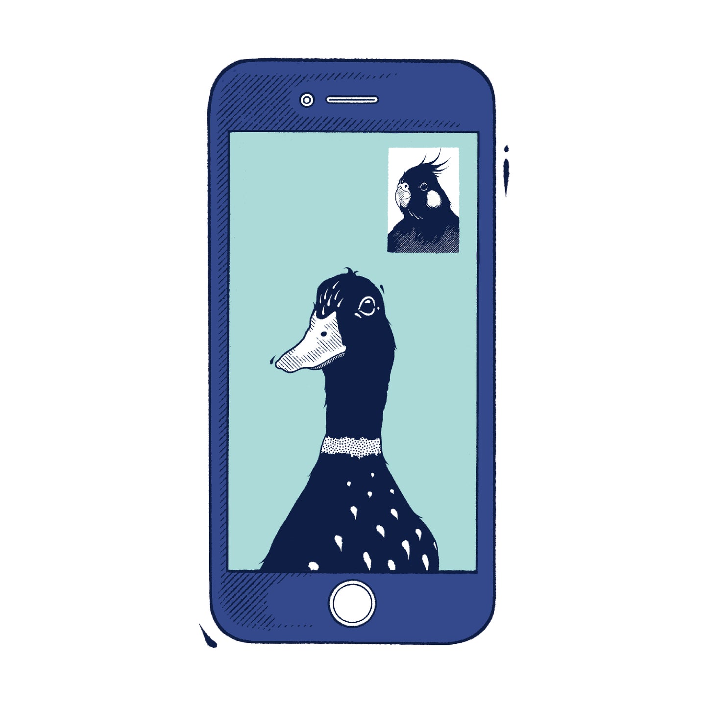 Bird illustration on a mobile phone graphic for Avian Empire urgent avian consultation service