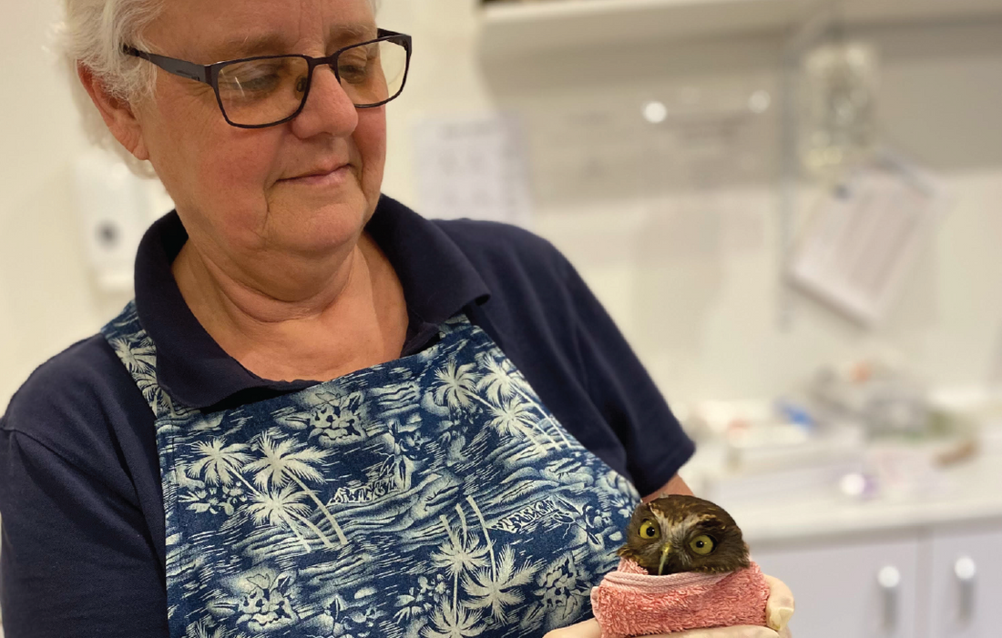 Interview series: Working with birds - Annemieke Kregting