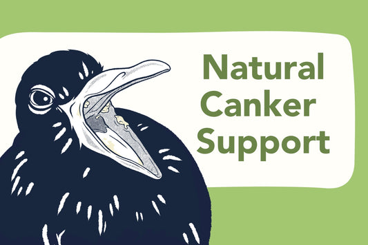 Natural Approaches to Canker Management in Birds