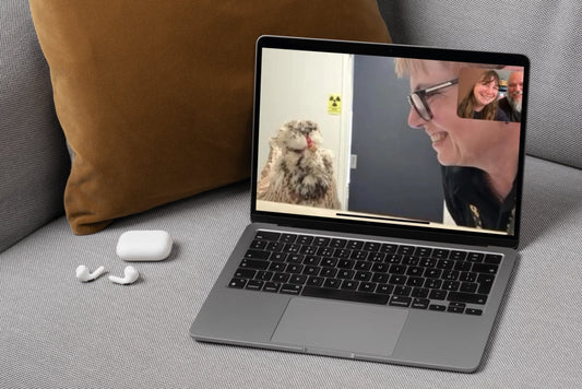 Poultry Telemedicine vs In-Person Vet Exams | What's Right for You