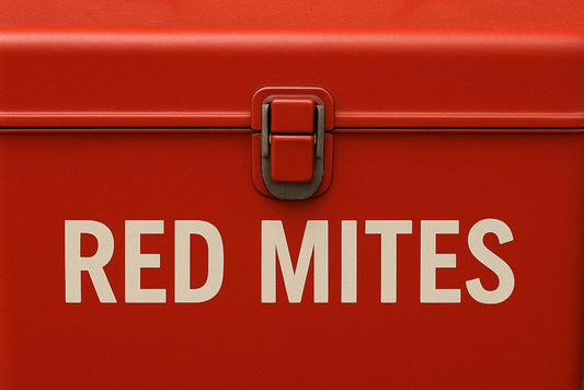   Red Mite in Chickens | Complete Treatment & Prevention Toolbox