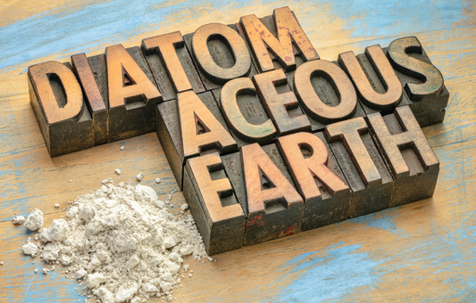 Does Diatomaceous Earth Kill Red Mites in Chickens? Vet Review