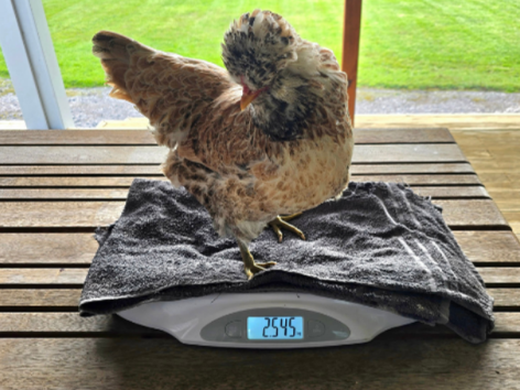 griffin shocked by the number on the scales
