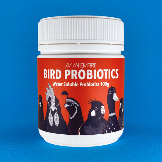 Probiotics birds avian