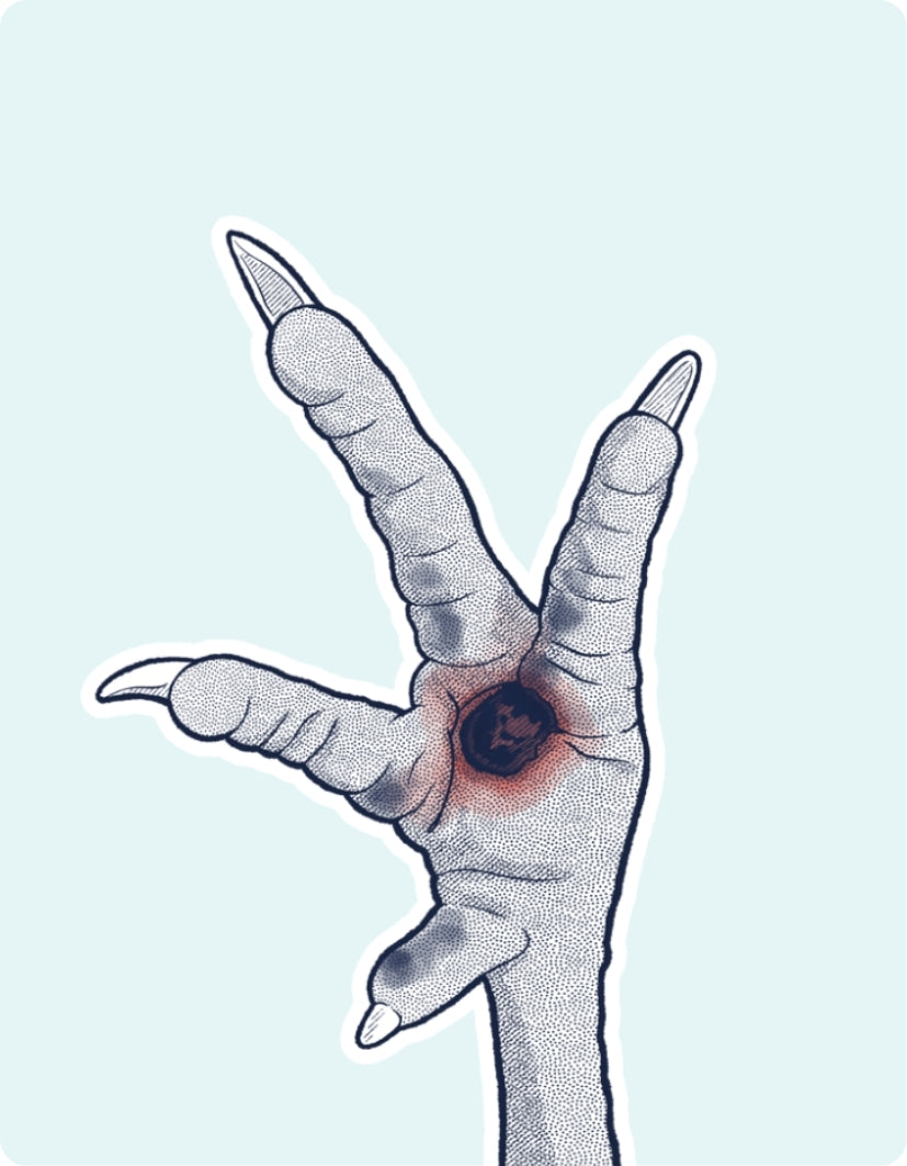 Illustration of a clawed hand with a dark center on a light blue background