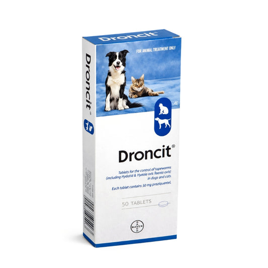Droncit packaging for animal treatment with a dog and cat on a snowy background