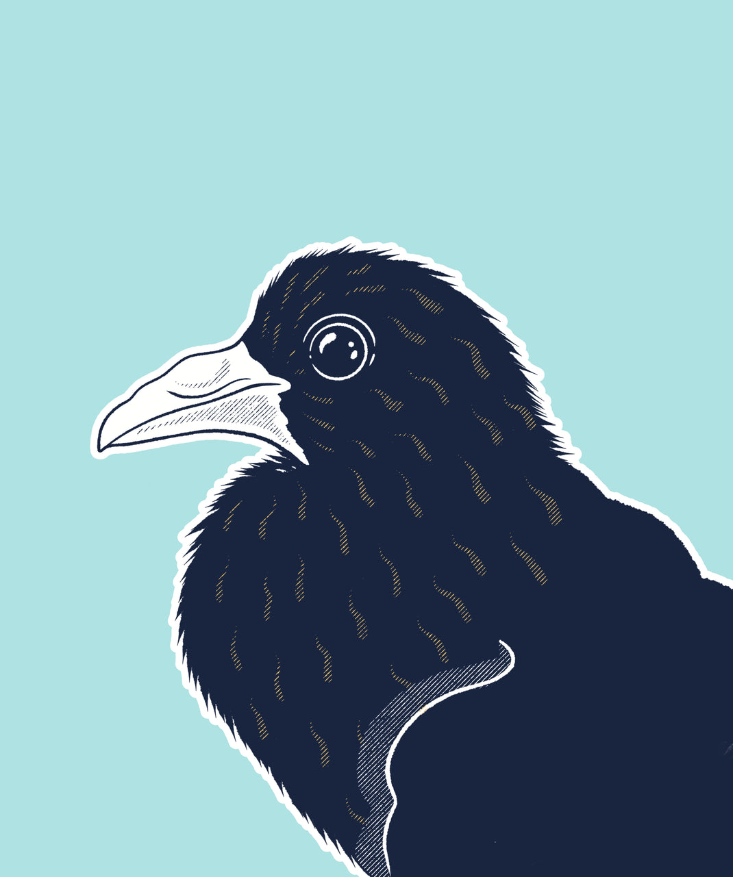 Baby pigeon hand rearing guide – Avian Empire