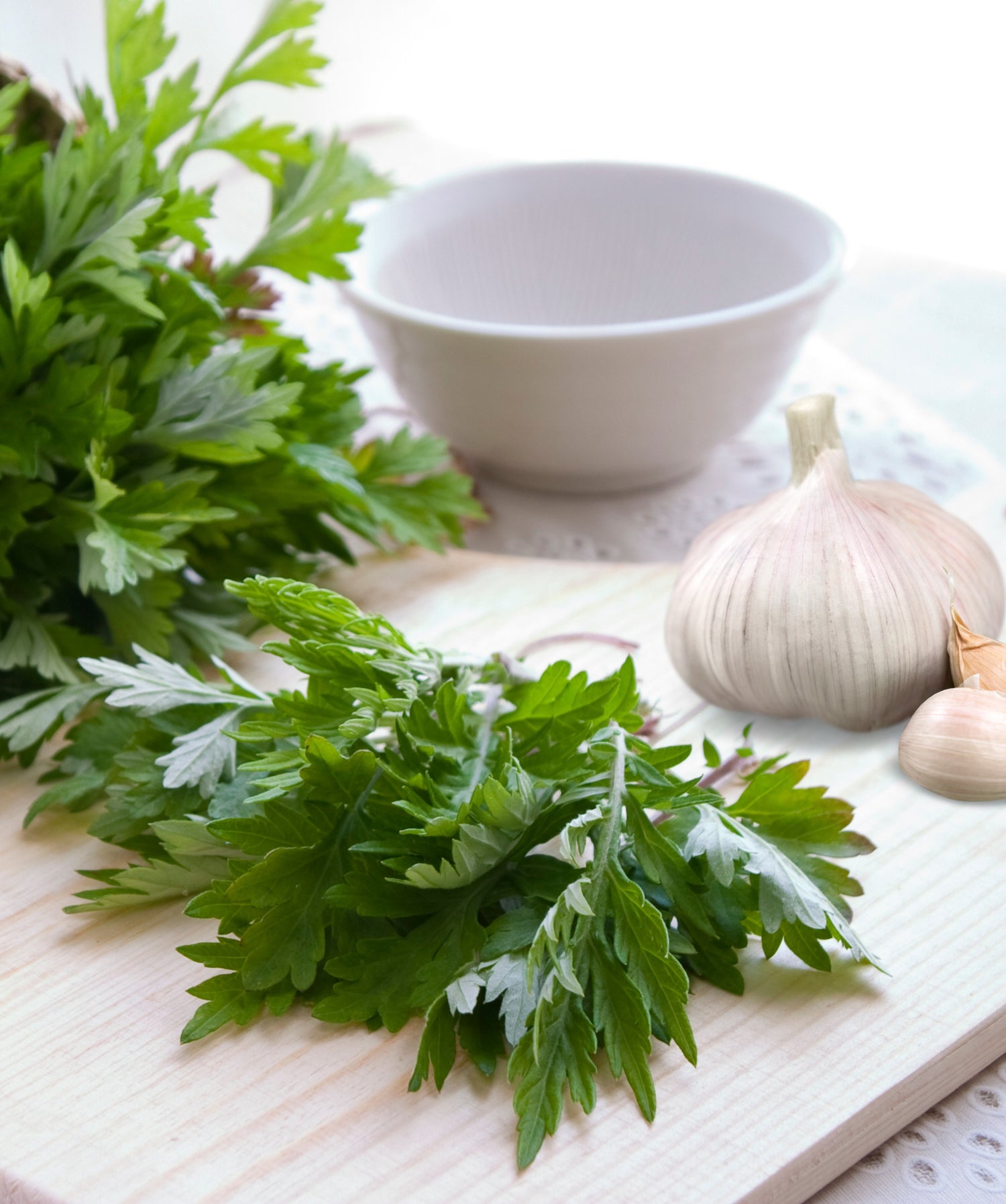 Galic and wormwood to fight canker