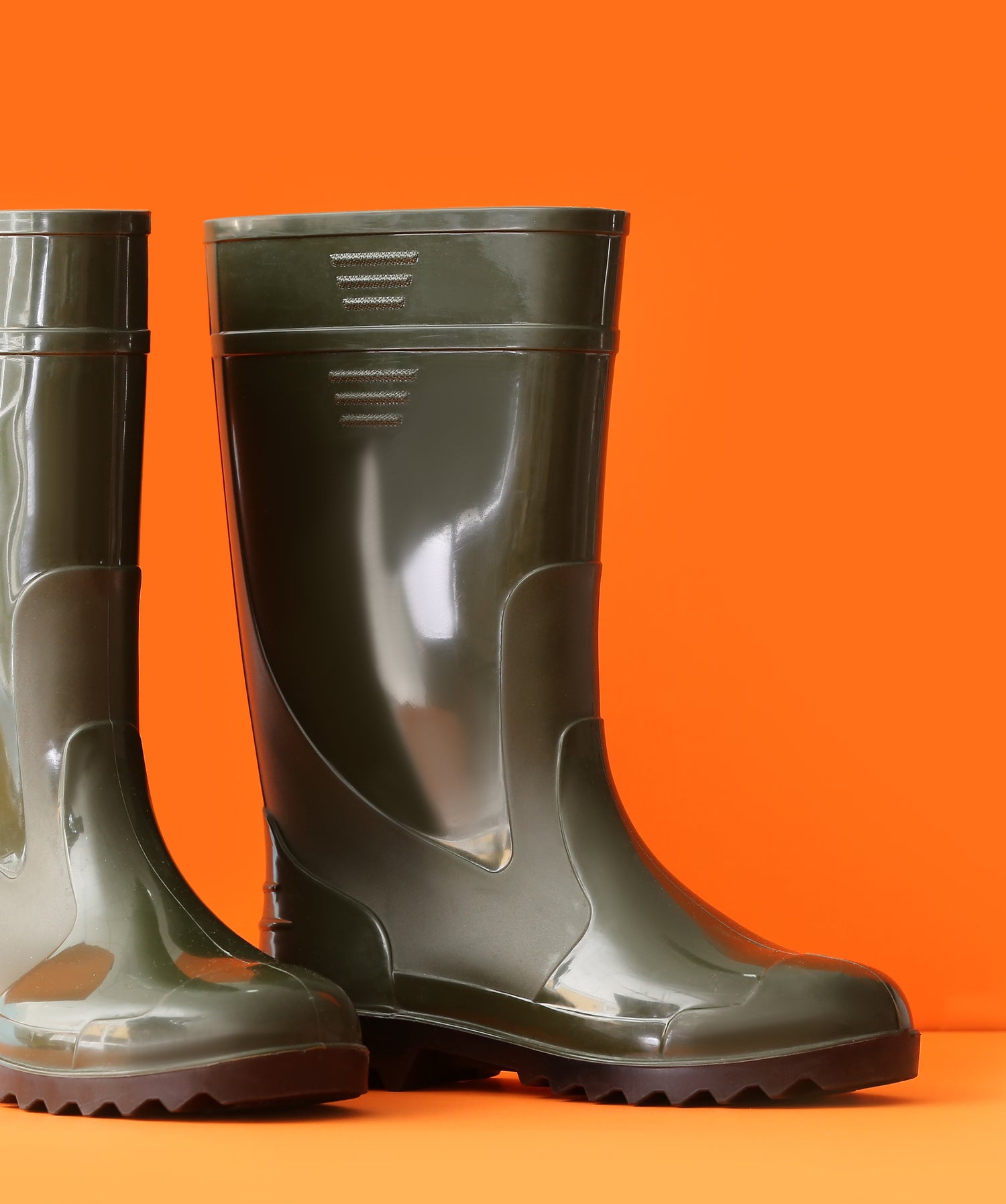 Biosecurity pair of gumboots for chicken sheds