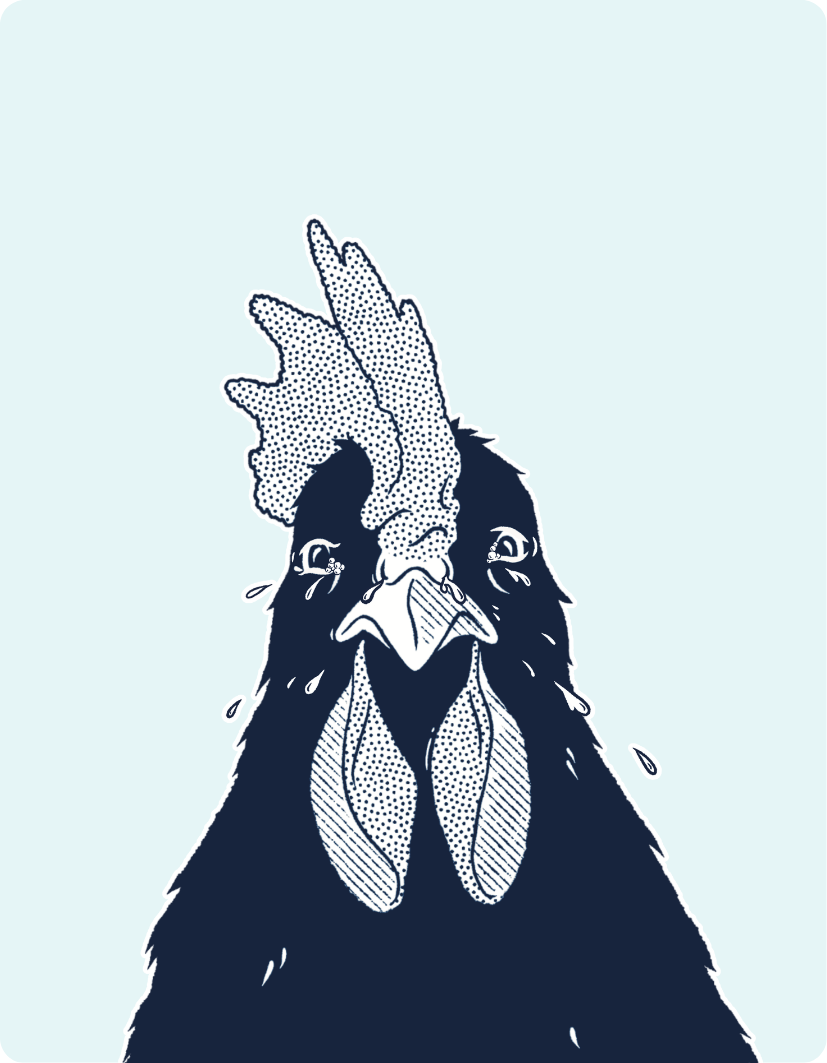 Illustration of a rooster with a light blue background