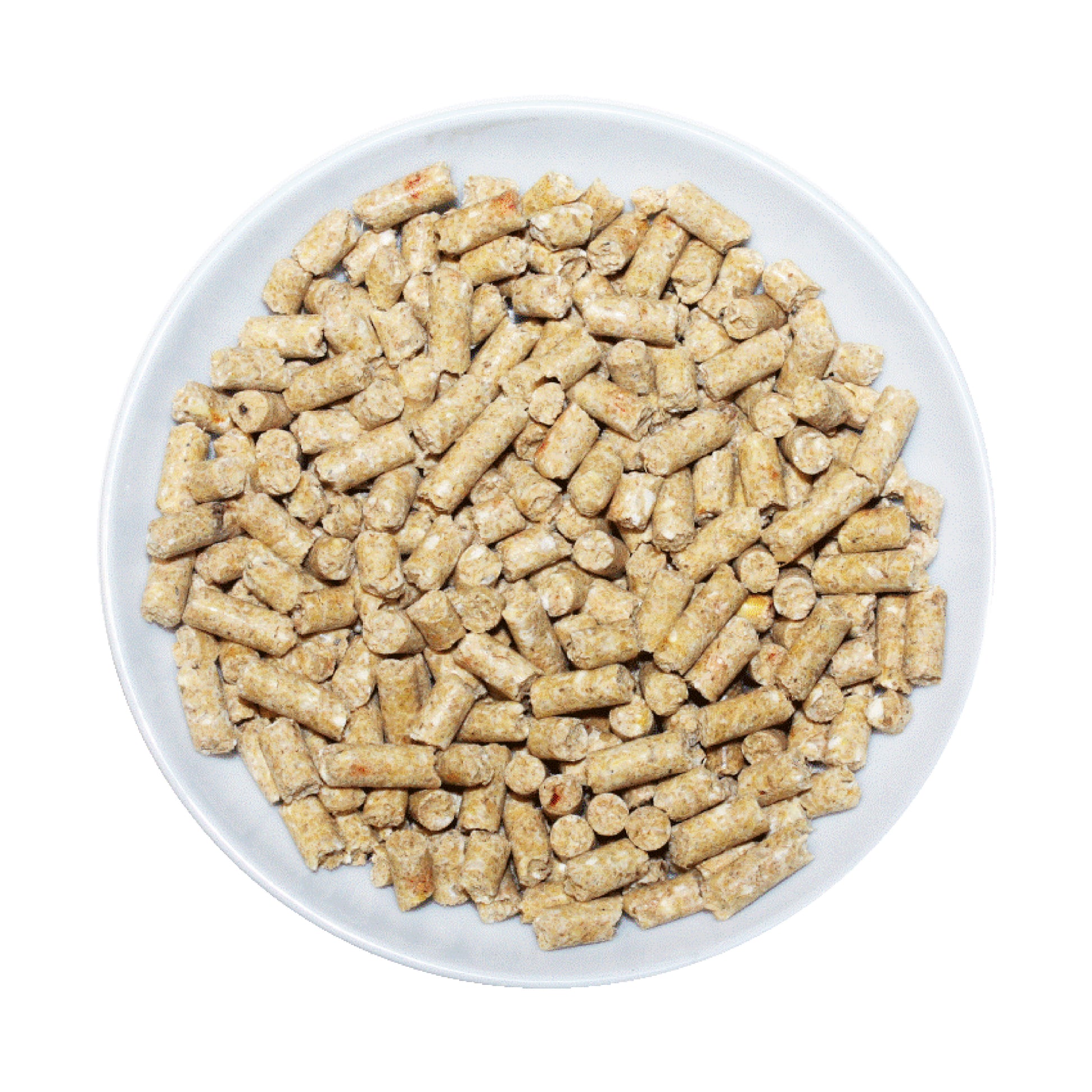 Passwell parrot pellet nz in a white bowl