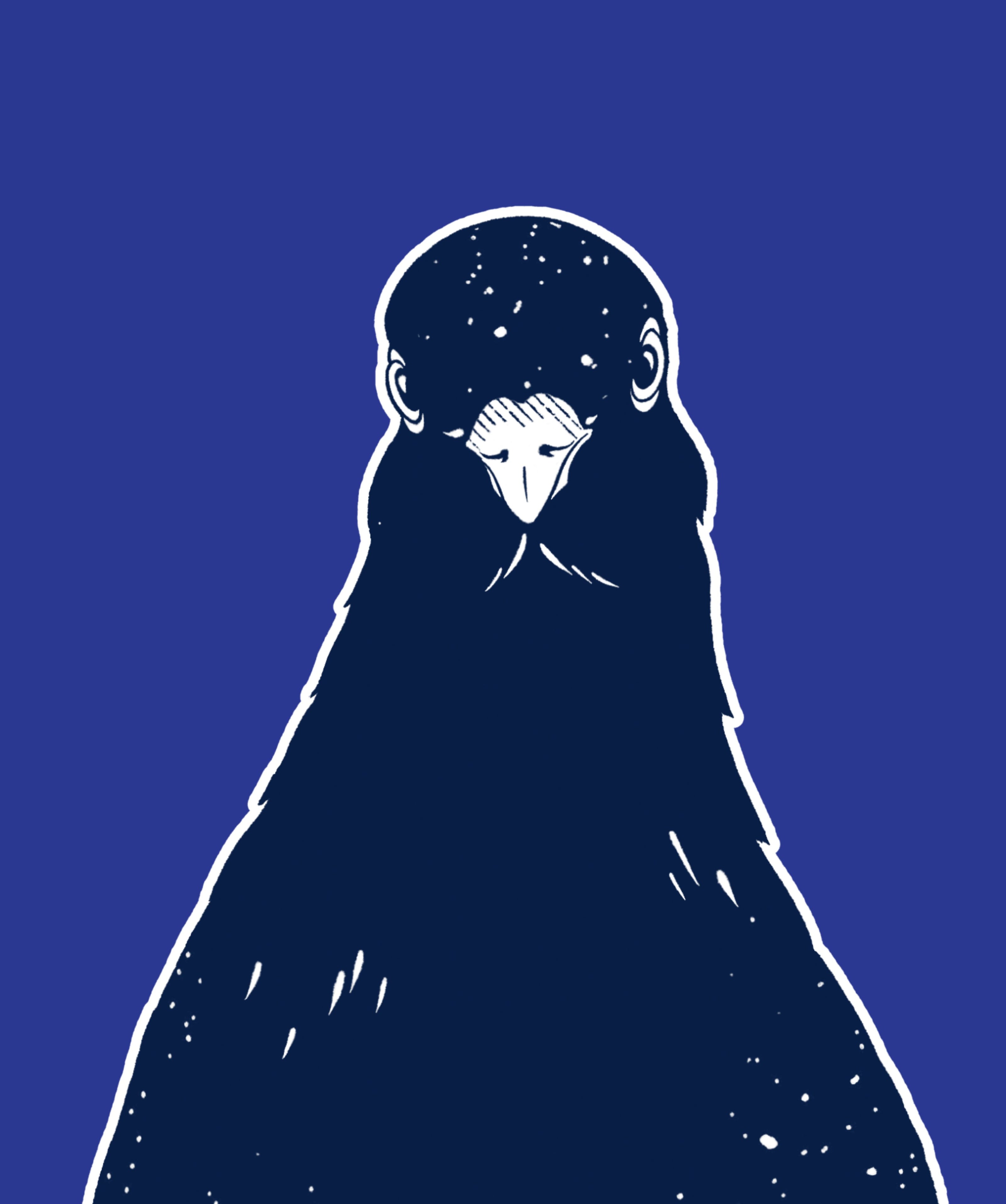 Pigeon diet 