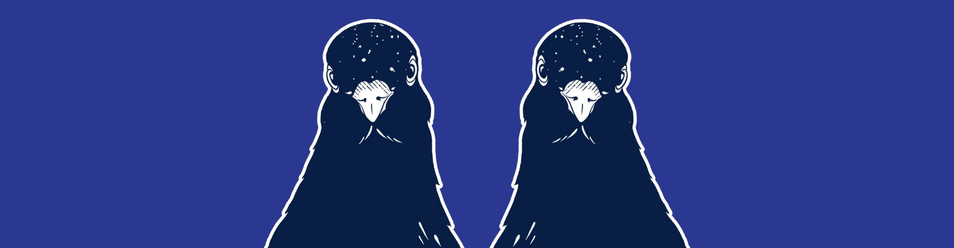 Pigeon diet information