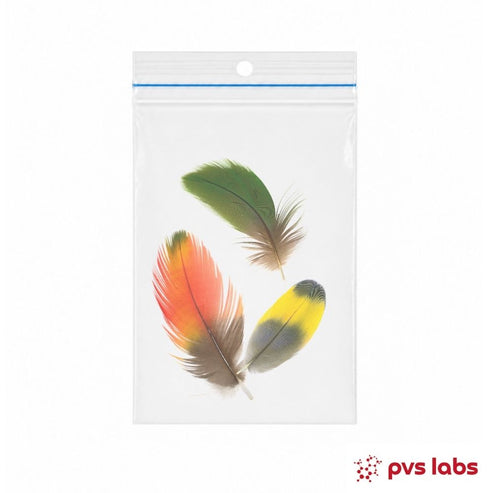 PBFD PCR Test for Birds | Psittacine Beak and Feather Disease Test ...