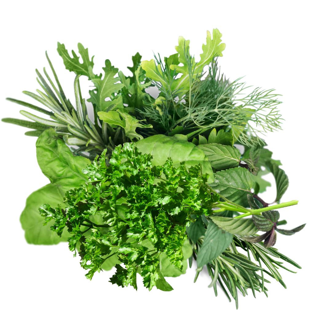 budgies love parsley