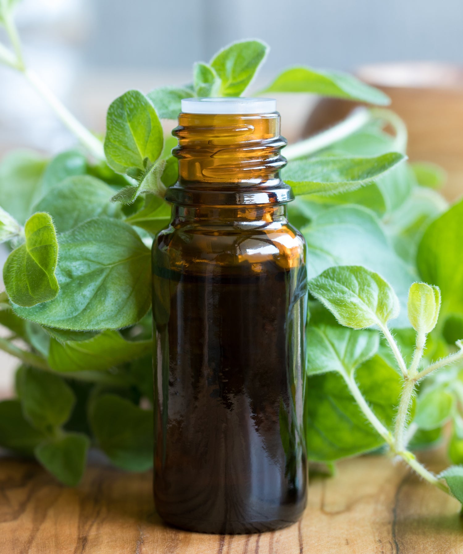 bottle of essential oil for canker 