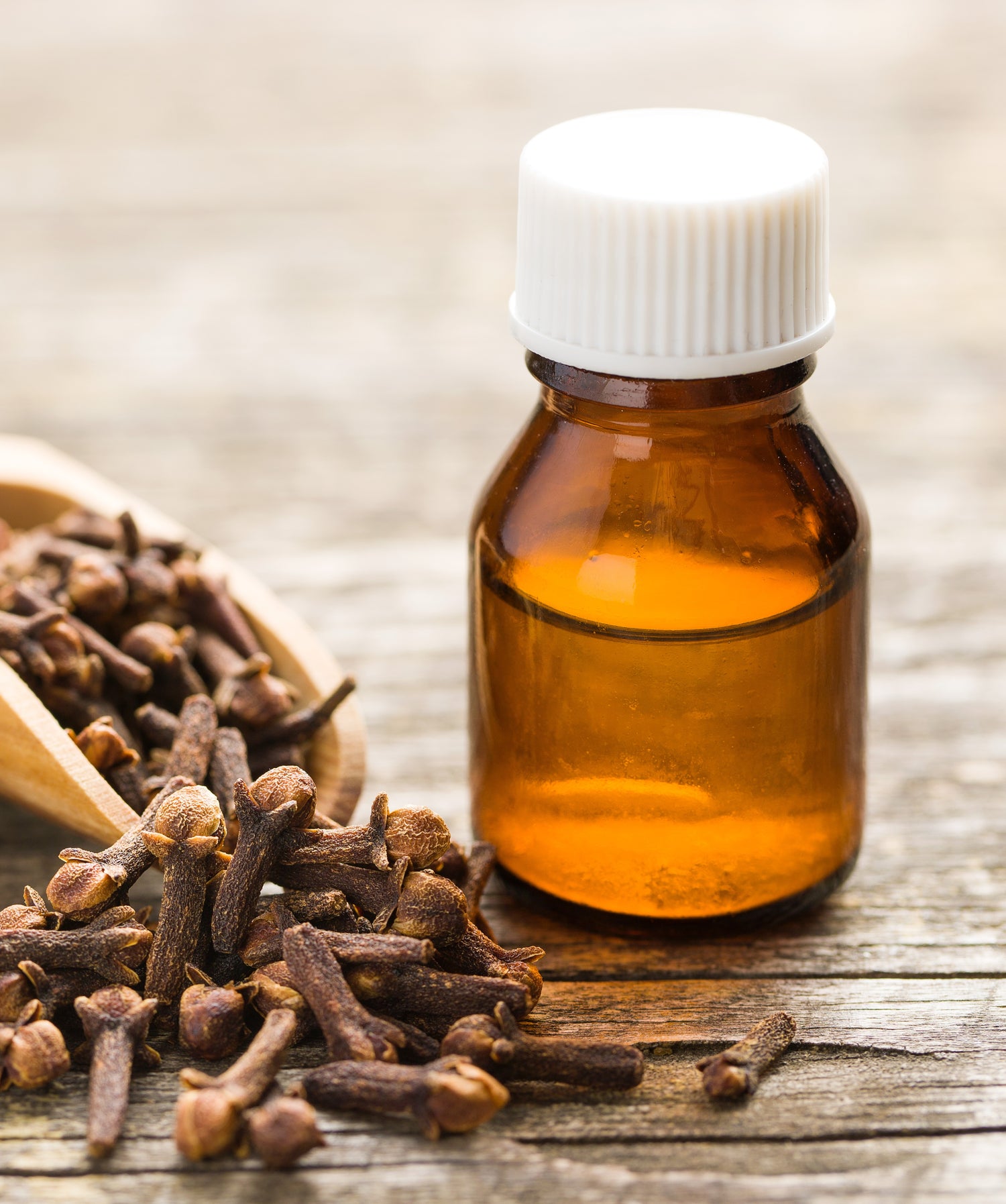 Clove oil for canker control