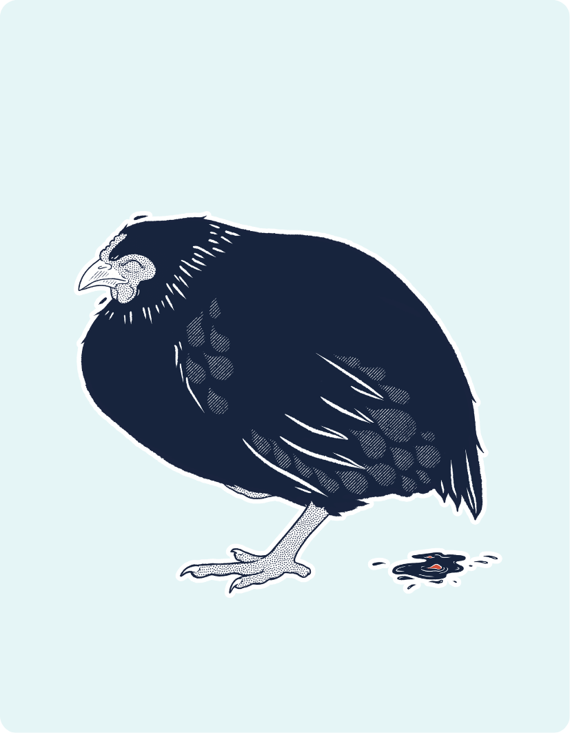 Illustration of a dark blue bird on a light blue background