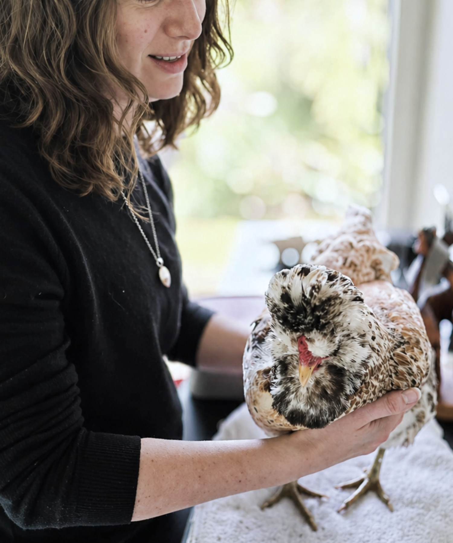 Person holding a small chicken in a home setting