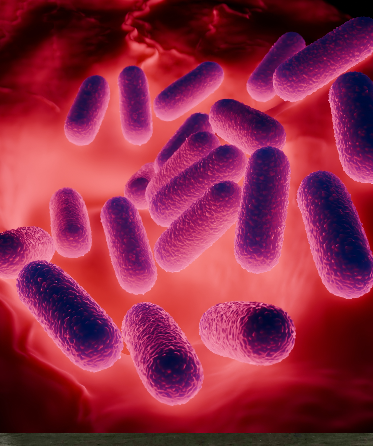 Colorful illustration of bacteria on a red background