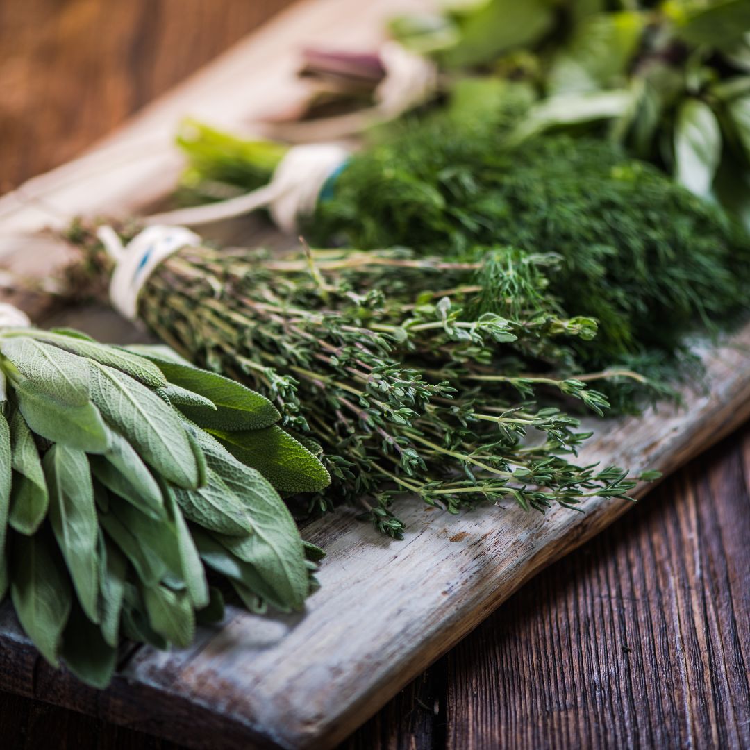 herbs for budgies