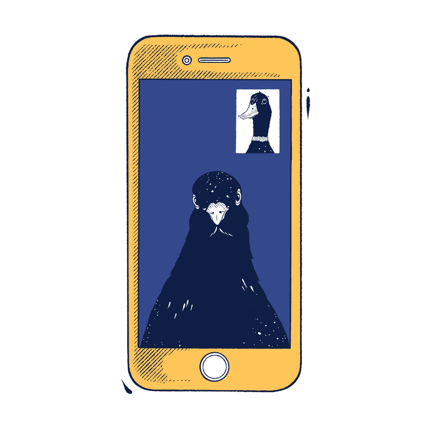 Bird illustration on a mobile phone graphic for Avian Empire Pay It Forward avian consultation donation programme