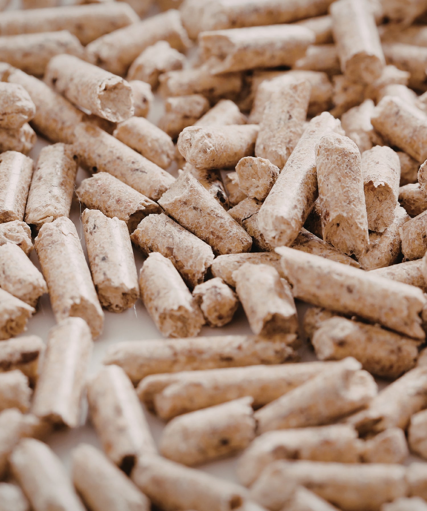 Close-up of wood pellets on a white background