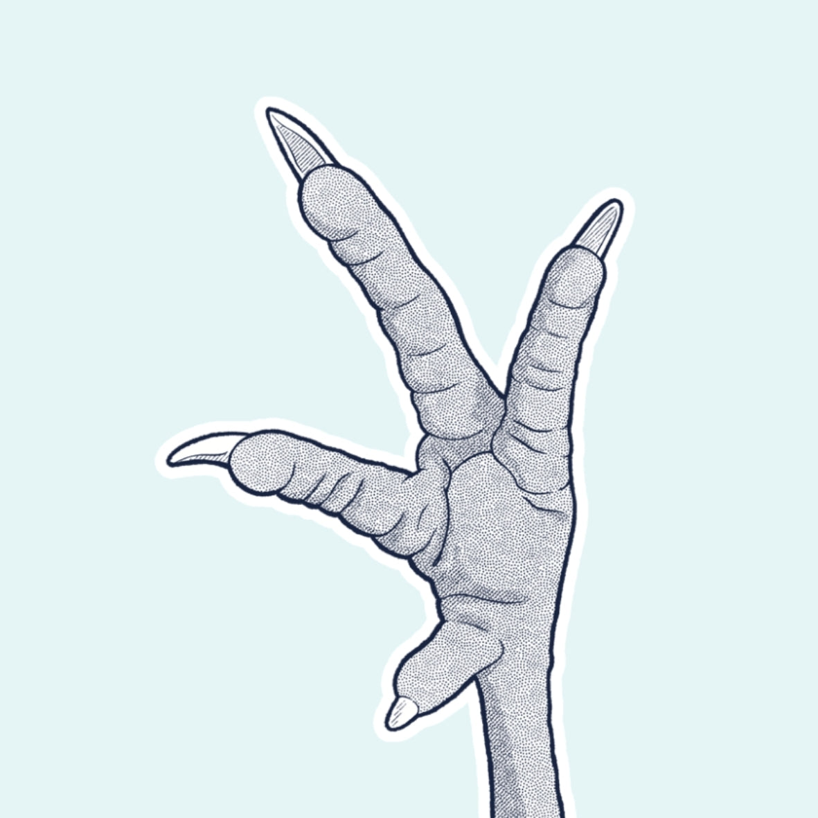 Illustration of a bird's claw on a light blue background