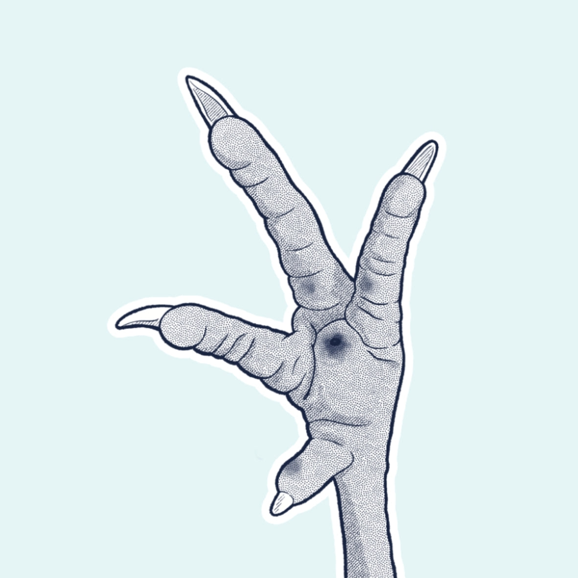 Illustration of a bird's claw on a light blue background