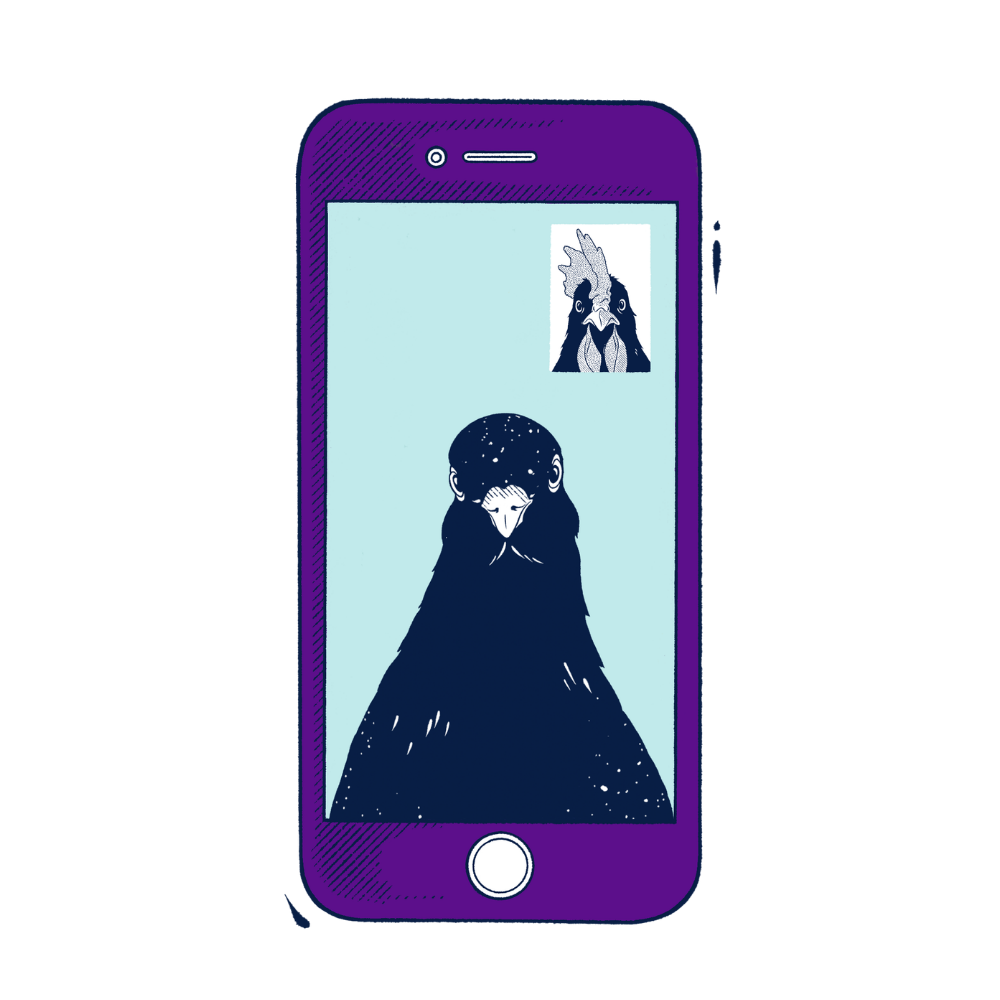 A stylized purple smartphone illustration on a white background, showing a video call screen with a large dark bird and a small inset face.