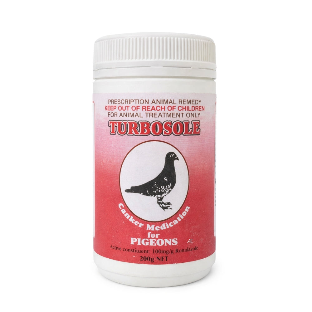 turbosole canker medication pigeons